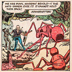Von Mohl vs the ants