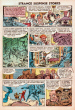 Page 2 (24)