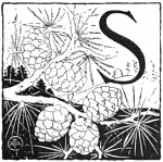 S