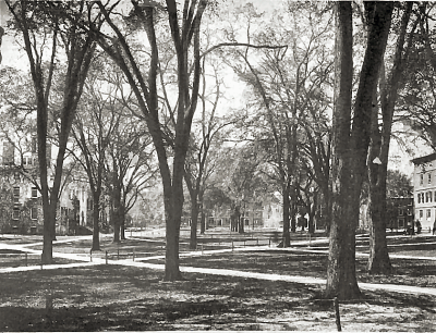 The College Yard as seen from Holworthy circa 1902
