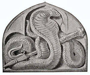 The White Cobra