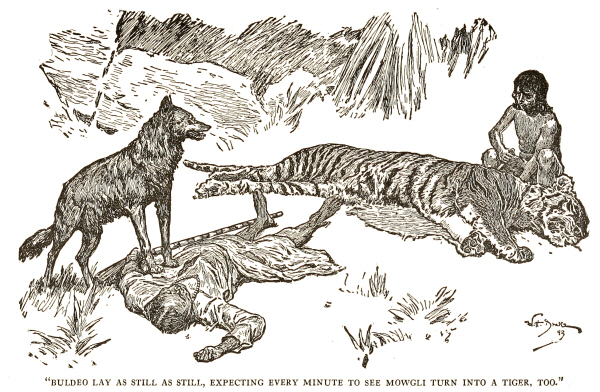 Buldeo lay as still as still, expecting every minute to see Mowgli turn into a tiger too.