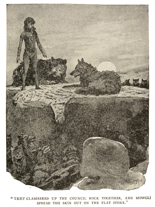 They clambered up the Council Rock together, and Mowgli spread the skin out on the flat stone