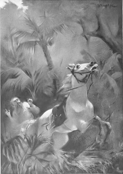Abdul Gafur and the white mare illstration