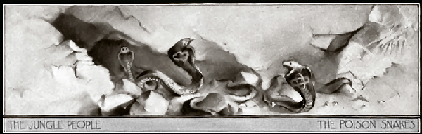the -jungle-people-the-poison-snakes-redux