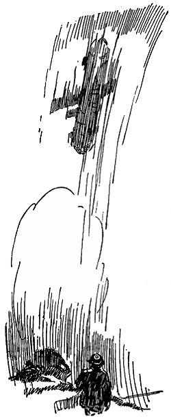 she-fell-like-a-plummet-redux