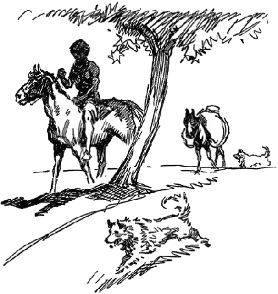 with-my-horse-and-dog-redux